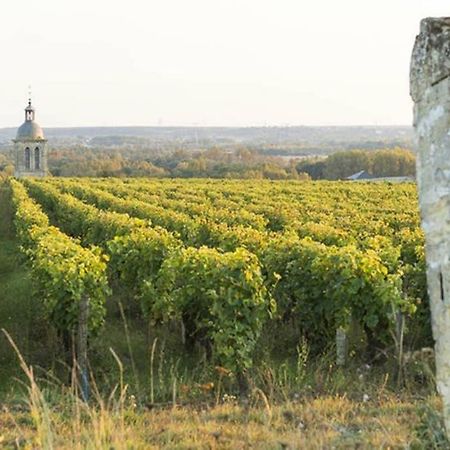 Studio Au Coeur Des Vignes Daire Montlouis-sur-Loire Dış mekan fotoğraf