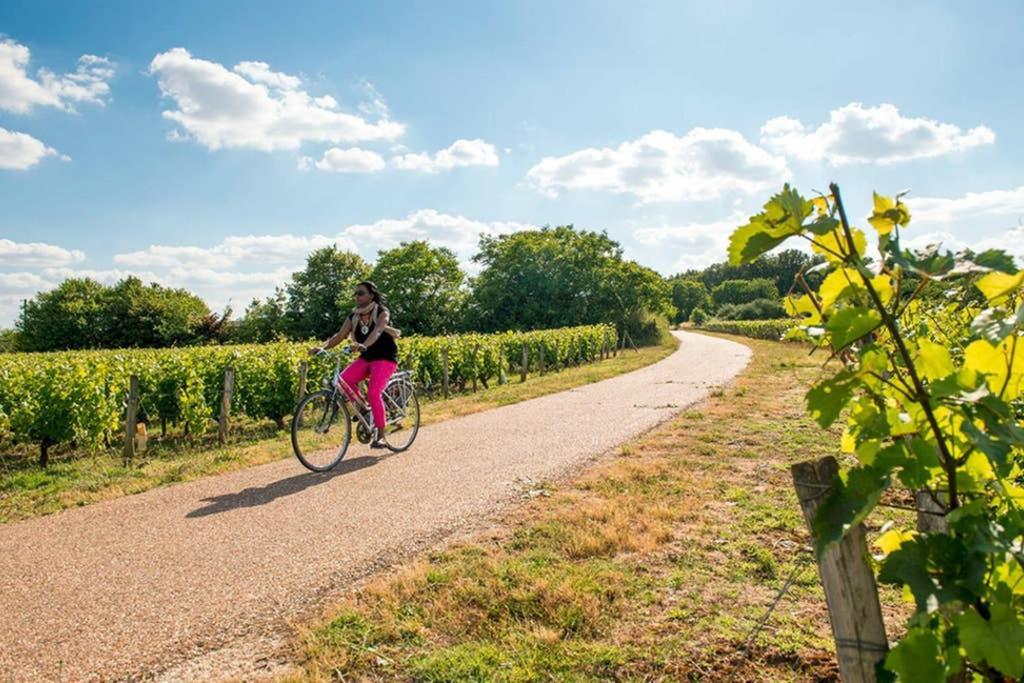Studio Au Coeur Des Vignes Daire Montlouis-sur-Loire Dış mekan fotoğraf